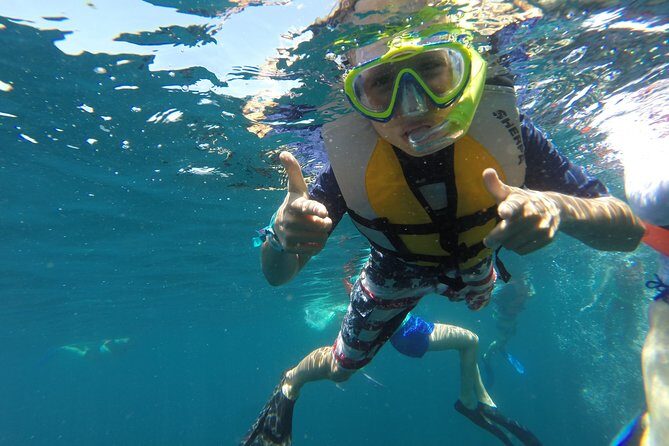 Private Snorkeling Tour in Cabo San Lucas - Dive Into the Details of the Cabo Snorkeling Tour