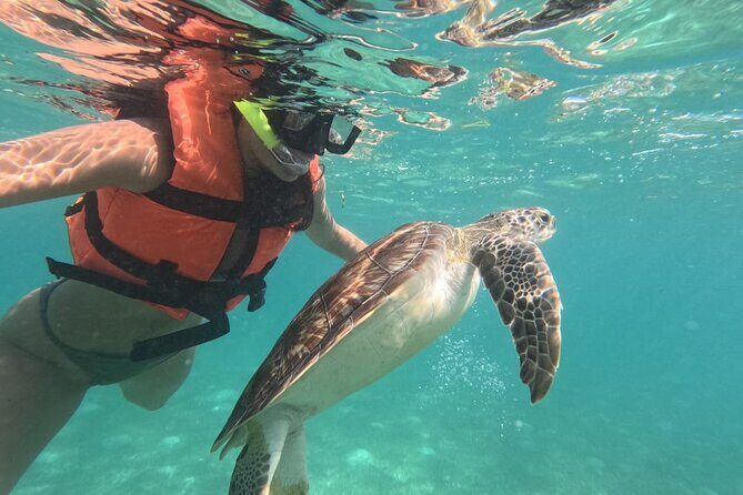 Private Snorkeling with Sea Turtles in Akumal Beach - The Real Value: What Do You Get?