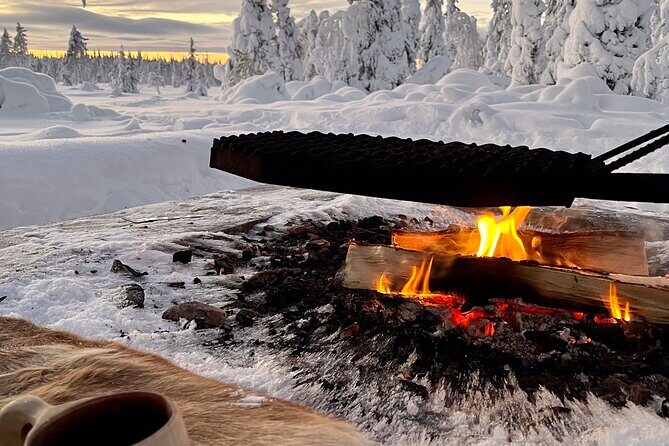 Private snowmobile day tours - FAQs