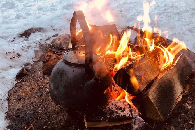 Private Snowmobile Experience in Rovaniemi's Forest - Who Will Enjoy This Tour?