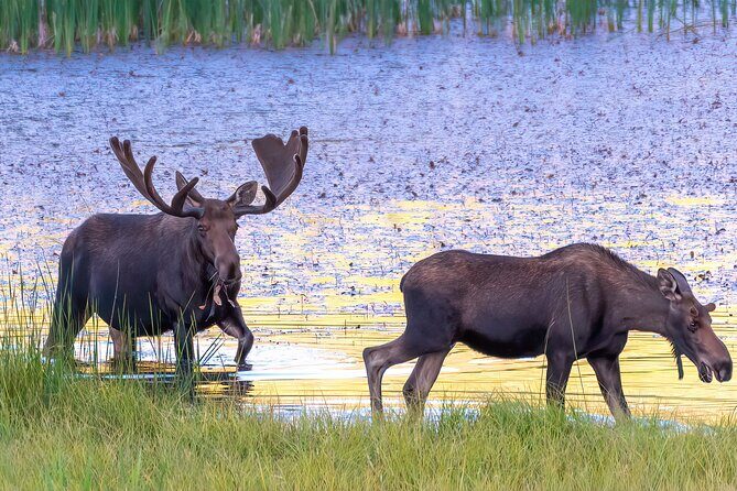 Private Snowshoe Tour in Rocky Mountain National Park (seasonal) - FAQ