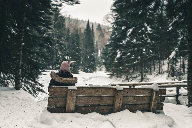 Private Snowshoeing Adventure from Badger Pass to Dewey Point - FAQ