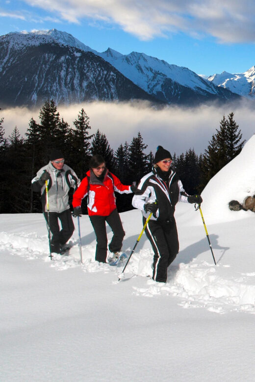 Private Snowshoeing full day - What is the Private Snowshoeing Full Day Tour?