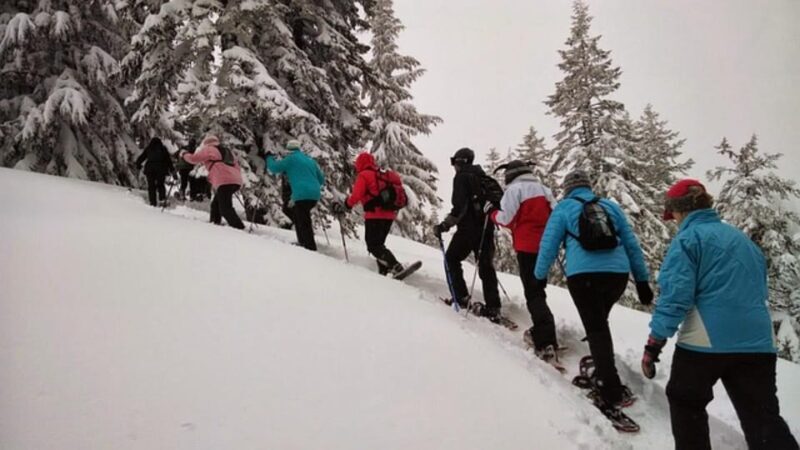 Private Snowshoeing full day - Comparing Similar Experiences