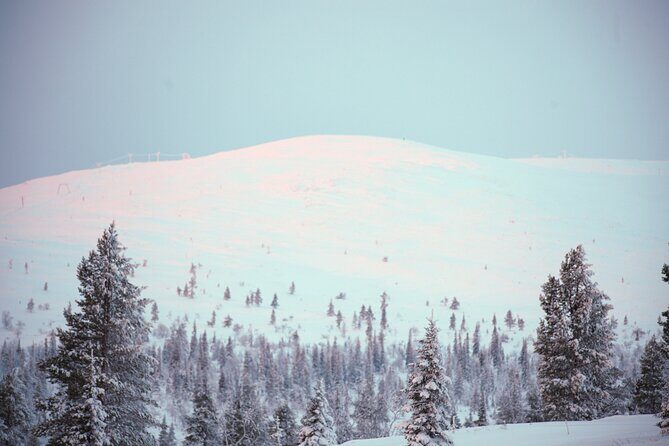 Private: Snowshoeing Safari in spectacular National Park - A Closer Look at the Snowshoeing Safari Experience