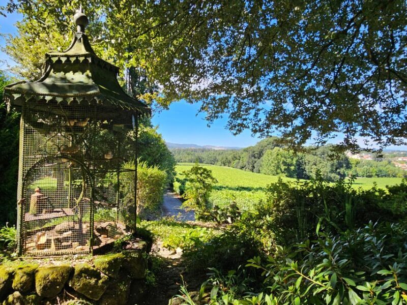 Private Sommelier Tour (Verde e Douro): 3 Wineries and Lunch - Price and Value