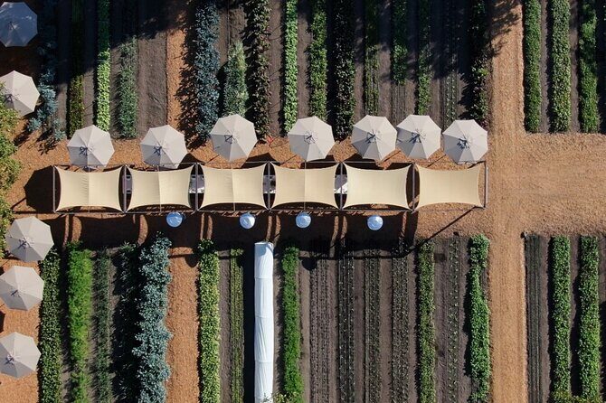 Private Sonoma Wine Tour up to 6 Guests - How the Tour Works