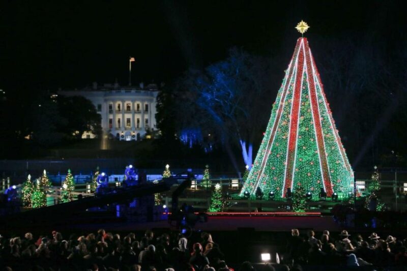 Private Special Christmas tour in Washington - Key Points