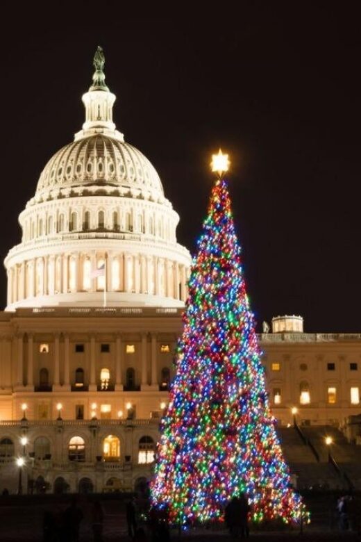 Private Special Christmas tour in Washington - Who Would Love This Tour?
