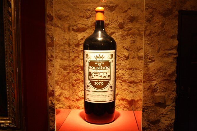 Private Special Tour Around Lisbon and Wine Tasting - Who Should Consider This Tour?