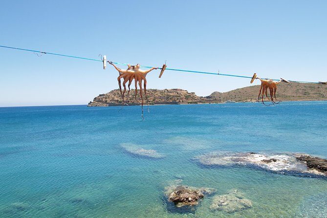 PRIVATE Spinalonga & Agios Nikolaos & Olive Oil Factory CRETE - Who Is This Tour Best For?