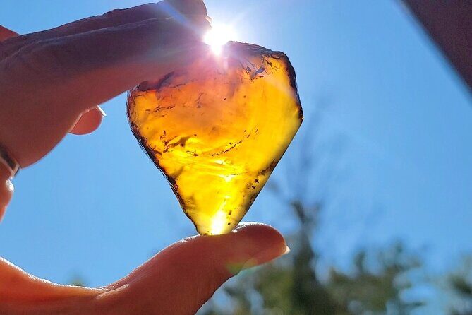 Private Spiritual and Scientific Vortex Tour - A Closer Look at the Sedona Vortex Tour