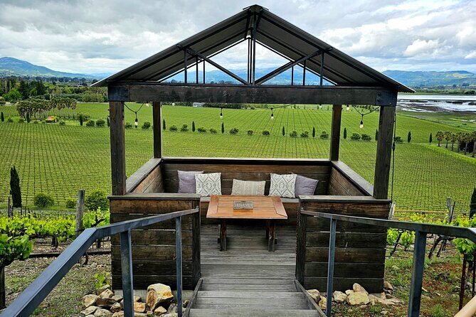 Private Sprinter Tour of Napa Valley - Who Is This Best For?