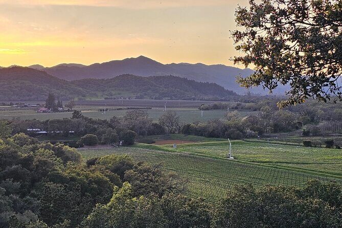 Private Sprinter Tour of Napa Valley - Final Thoughts