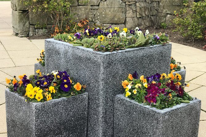 Private St Andrews Day Guided Tour-Personalised & Bespoke - What the Reviews Say