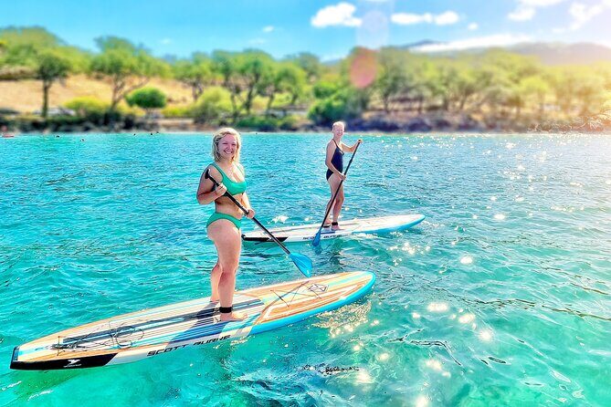 Private Stand Up Paddle Boarding Tour in Turtle Town, Maui - Who Should Consider This Tour?
