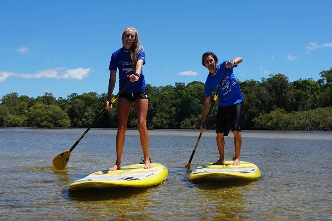 Private Stand Up Paddle Boarding Tours Byron Bay - A Closer Look at the Byron Bay SUP Experience