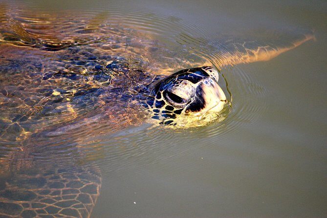 Private Stand up Paddle Lesson and Tour (for 1 or more paddlers) - Wrapping Up