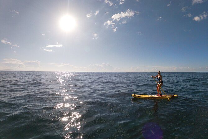 Private Stand Up Paddle Tour in Câmara de Lobos - The Itinerary in Detail