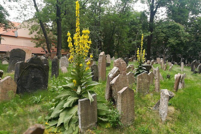 Private Stories of Jewish Prague Walking Tour - FAQs