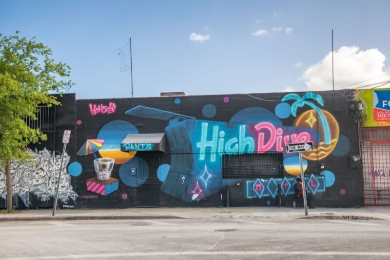 Private Street Art Tour in Miami - The Overview: What You Can Expect on the Tour