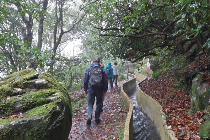 Private Sunrise Guided hike on Pico do Areeiro or other custom - Best Time and Weather Preparedness