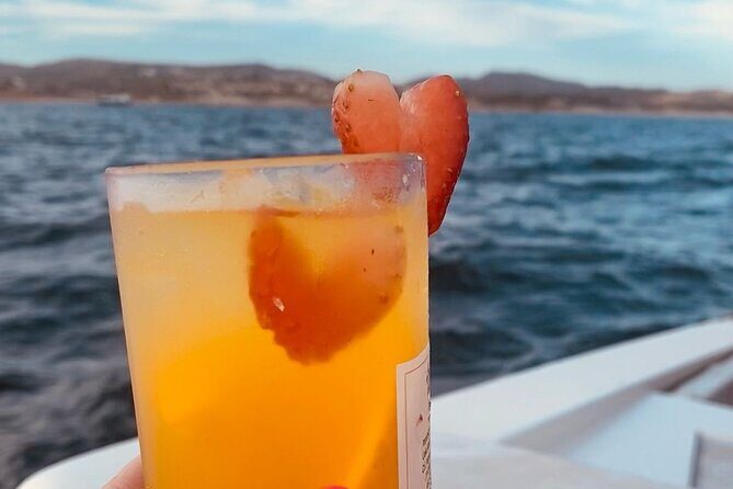 Private Sunset Cruise in San Jose del Cabo Appetizers,open bar - Final Thoughts