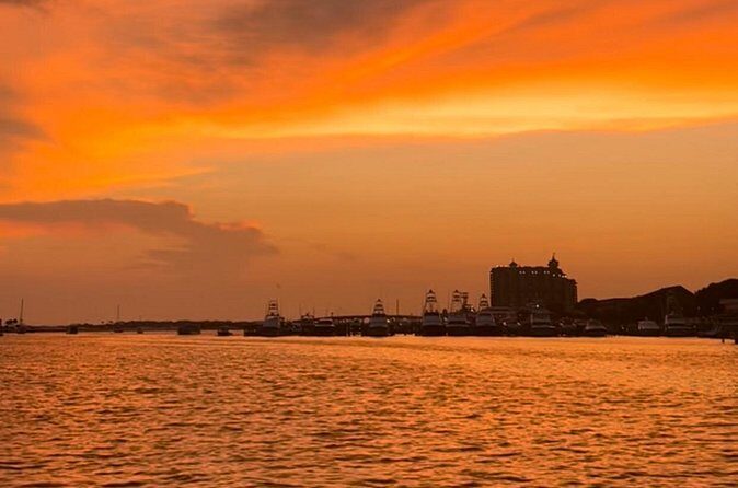 Private Sunset Dolphin Cruise Up to 16 Passengers - The Value in This Experience