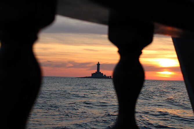 Private Sunset Dolphin Excursion with Dinner and Animation - What to Expect from the Experience