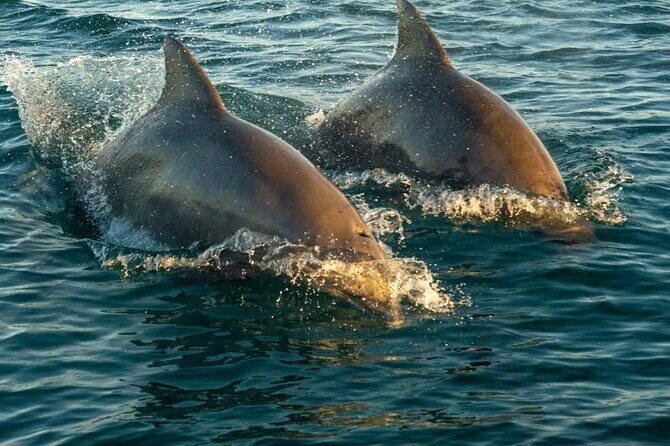 Private Sunset Sail in Key West Florida - Key Points