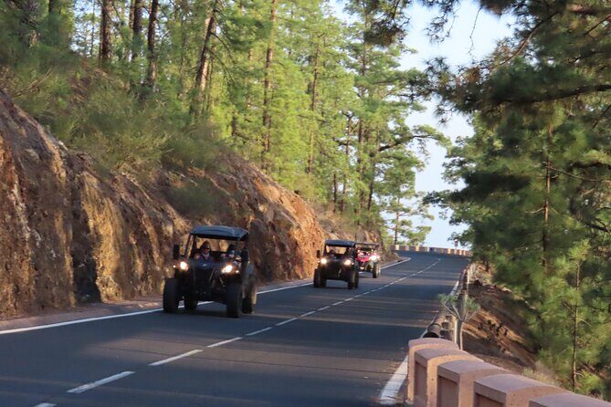 Private Sunset Tour in Tenerife - Key Points