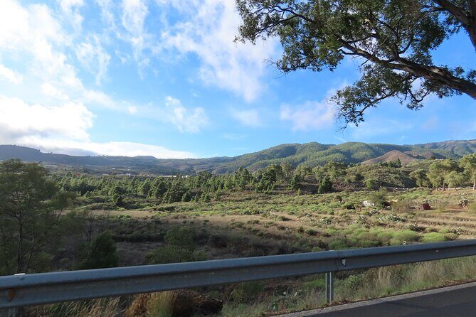 Private Sunset Tour in Tenerife - What Travelers Are Saying