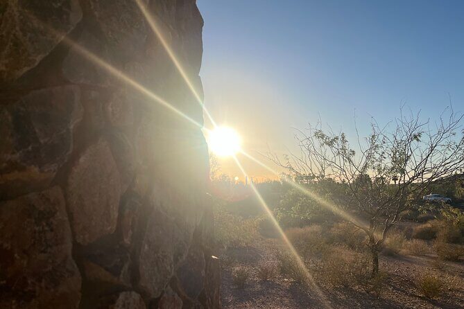 Private Sunset Walking Tour -Sonoran Desert Botanical Gardens 2h - Who Should Consider This Tour?
