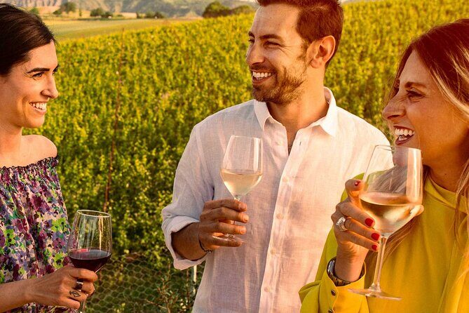 Private Superior Tasting of Extra Virgin Olive Oil and Wine - Practical Details: Timing and Booking