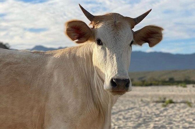 Private Surf Expedition in Baja, East Cape - Final Thoughts