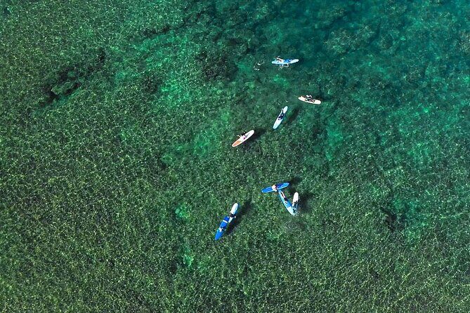 Private Surf Lesson for 3-5 People in North Shore Oahu - Booking and Cancellation