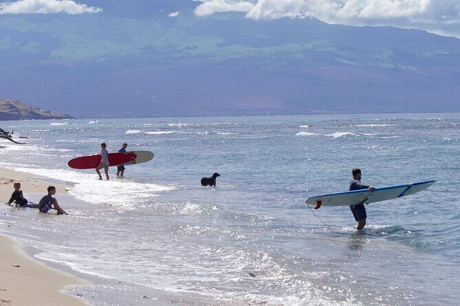 Private Surf Lesson for One Near Lahaina - The Surfing Environment & Conditions