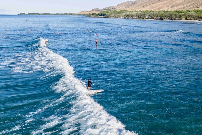 Private Surf Lesson in Lahaina - Detailed Breakdown of the Tour Experience