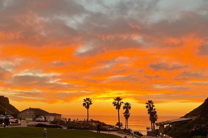 Private Surf Lesson Solana Beach Ride the Waves Fletcher Cove 2hr - The Experience and Value