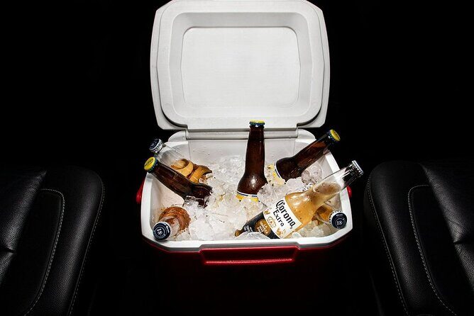 Private SUV Round-Trip from Airport to Hotels in Puerto Los Cabos - Final Thoughts