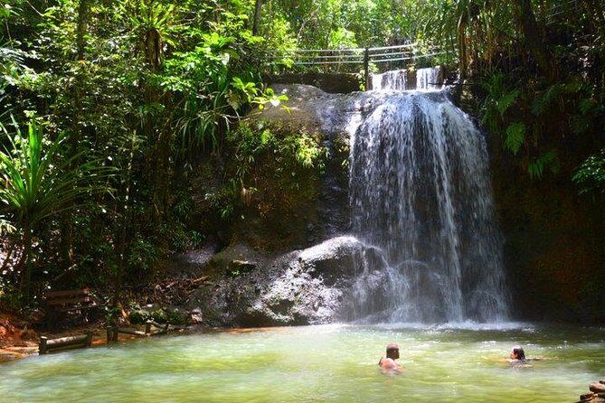 Private Suva Nature and Waterfall Tour - Who Is This Tour Perfect For?