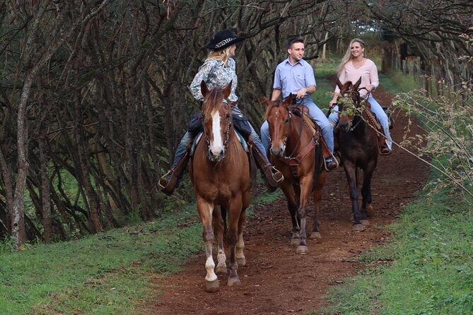 Private Sweetheart Horseback Ride - Authentic Feedback from Travelers