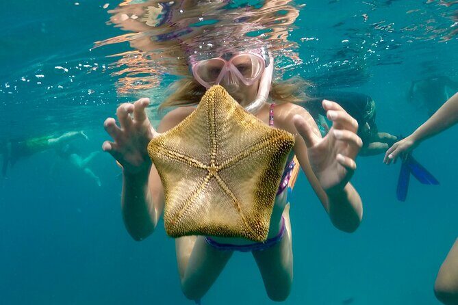 Private Swim and Sail Charter (Kewalo Harbor) - Wrapping Up