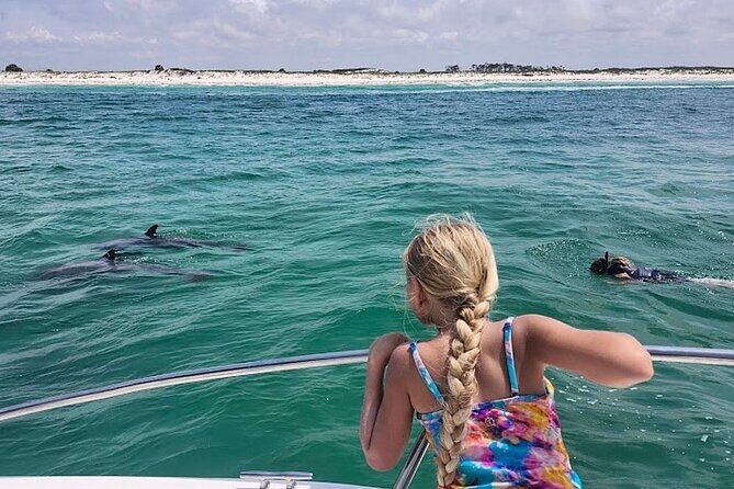 Private Swim with Dolphins And Snorkeling Tour - Discover the Private Swim with Dolphins and Snorkeling Tour in Panama City Beach