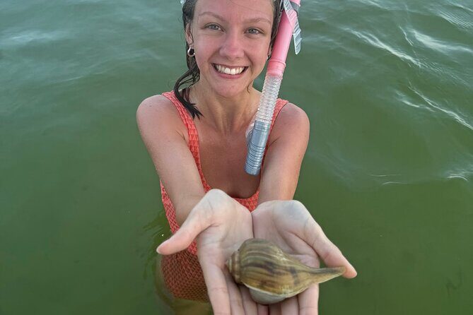 Private Swim with Dolphins And Snorkeling Tour - Key Points