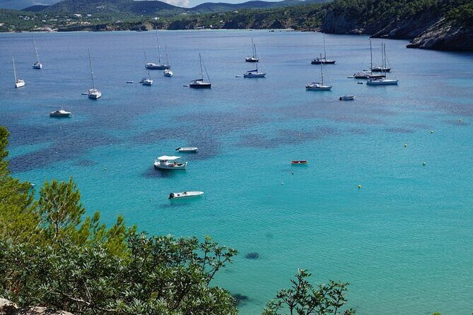 Private Swimming Cruise to the Athenian Riviera & Cape Sounion - Who Will Love This Experience?