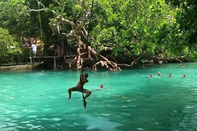 Private Swimming with Turtles/Sharks at Blue Lagoon and Waterfall - What’s Included & What’s Not