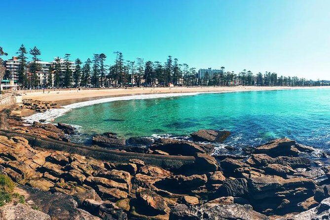 Private Sydney Tour Including Sydney Opera House, Bondi and Manly - What Travelers Say: Authentic Experiences and Some Downsides