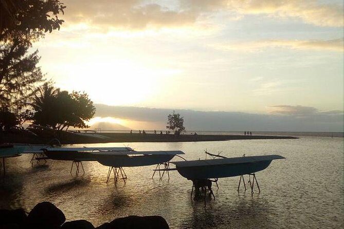 private Tahiti island discovery - An In-Depth Look at the Tour Experience