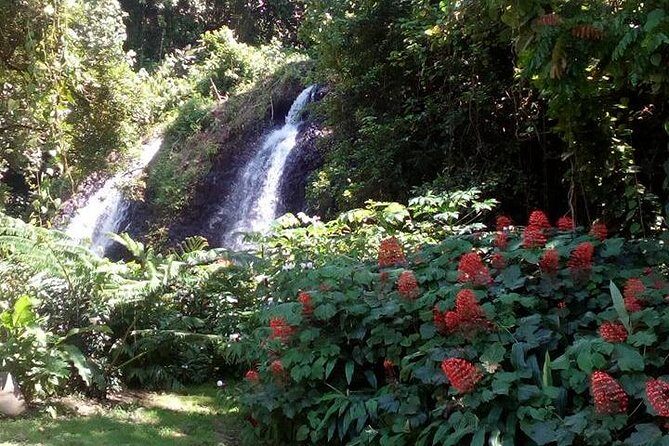 private Tahiti island discovery - Final Thoughts